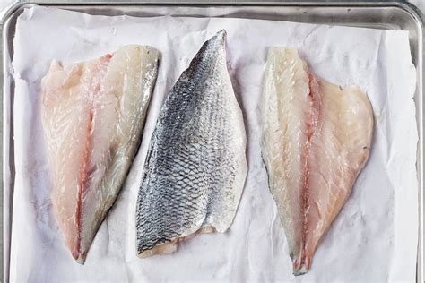 cheap fish food|Experts Weigh.